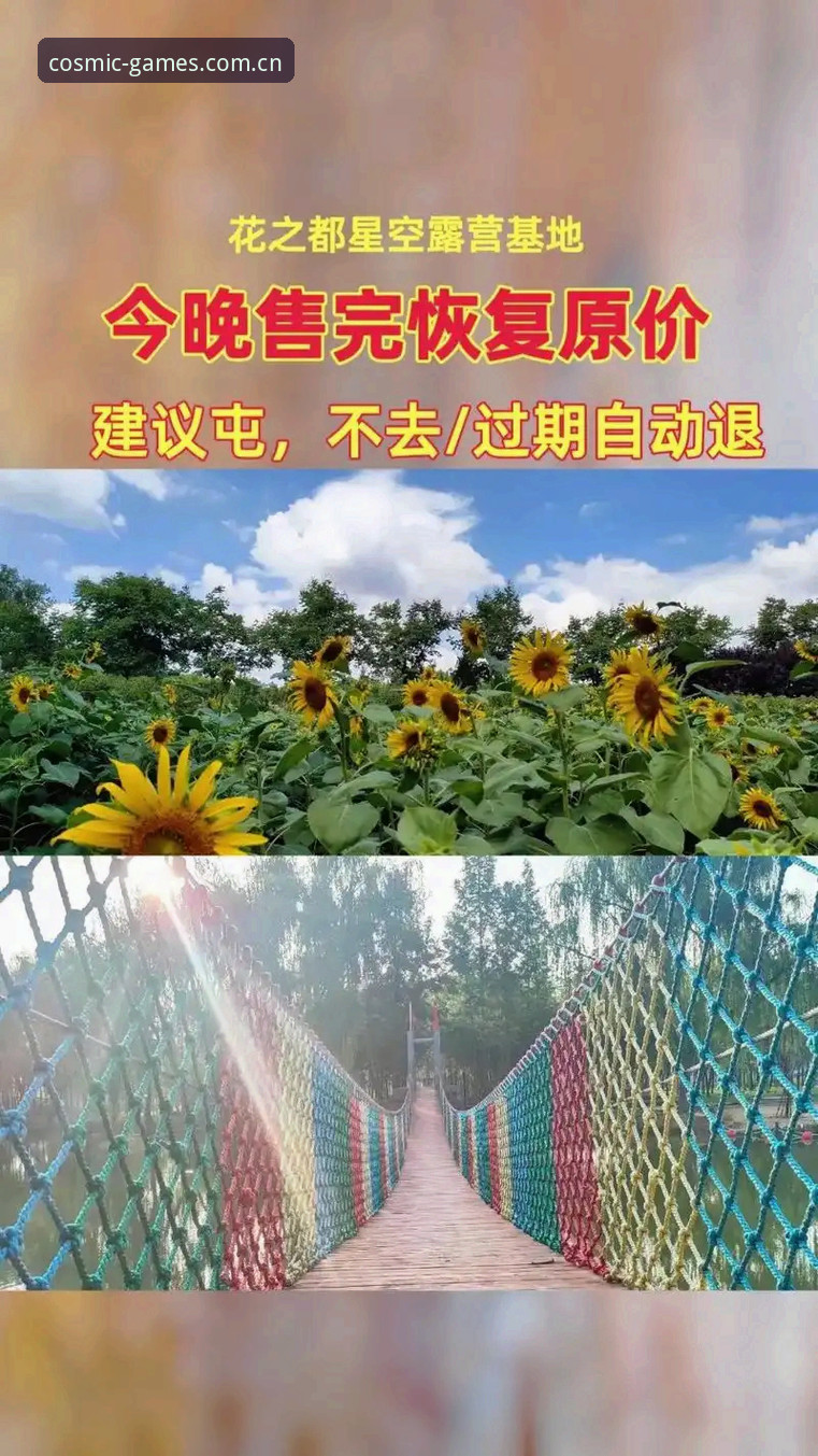 星空综合平台实用指南：掌握星空体育服务官网攻略的关键技巧