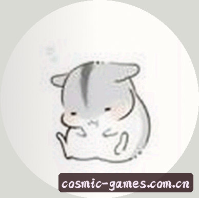 王思琪